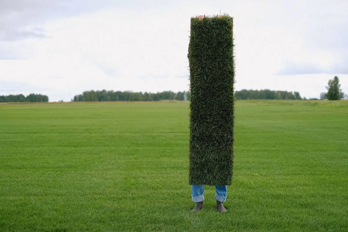 Commercial & HOA Sod in El Paso, TX